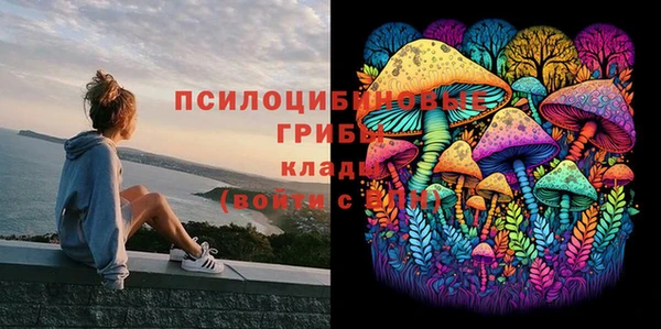 МДПВ Белокуриха
