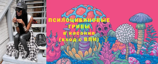МДПВ Белокуриха