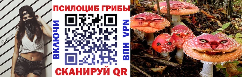 Псилоцибиновые грибы мицелий  цены наркотик  Гудермес 