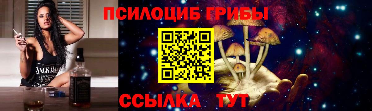 Галлюциногенные грибы Psilocybe  купить закладку  Гудермес  Псилоцибиновые грибы ЛСД  Вход с VPN 